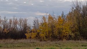 Волшебство осени. Прогулка в тишине природы.