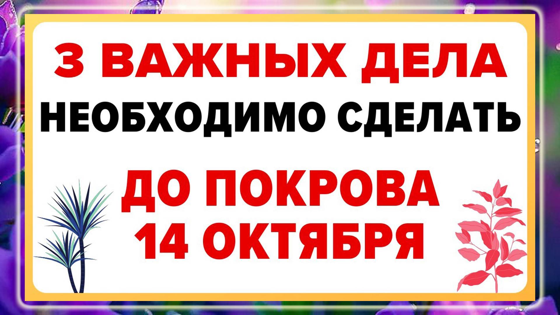 ЭТИ 3 ДЕЛА необходимо СДЕЛАТЬ ДО Покрова Пресвятой Богородицы.