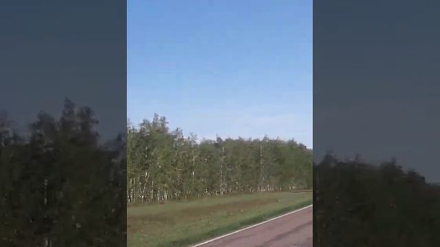 Дорога смотреть онлайн