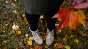 Александр Нужный - Осенние листья