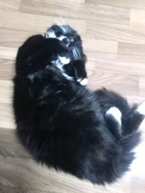 играю с другом в джейлбрек