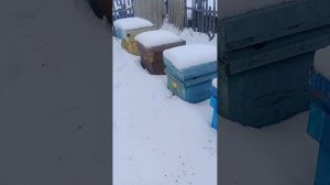 зима.готовы.