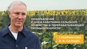 Владимир Сальдо поздравил с Днем работника сельского хозяйства и перерабатывающей промышленности