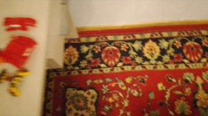 2 ЭПИЗОД ЛЕГО ЗВЕРЕЙ