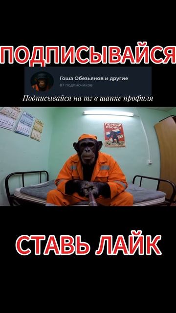 Братья Обезьяновы пожарные смотреть онлайн