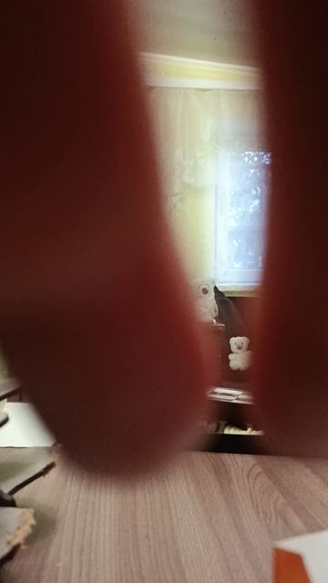 спасение Оранживой собаки смотреть онлайн