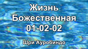 Книга Жизнь Божественная 01-02-02 (Шри Ауробиндо)