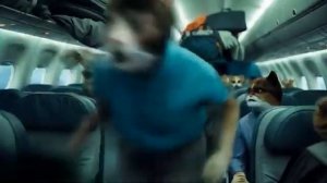 Poor Kitten Runaway From INFECTED SKY  CAT SAD STORY -  канал snow