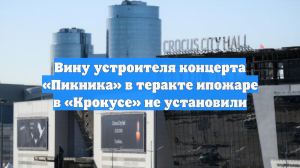 Вину устроителя концерта «Пикника» в теракте ипожаре в «Крокусе» не установили
