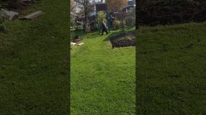 VID_20251011_120036.mp4