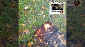 Осеннее копчение карася!Всем ,красивой осени!🍁