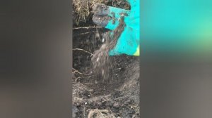 Не оставляйте мульчу в теплице сухой!