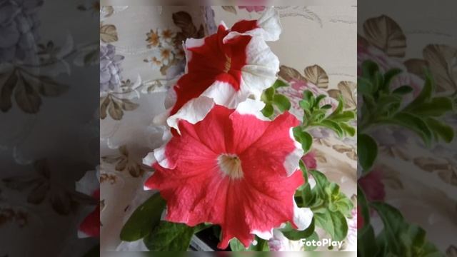 6 июня 2024 г. смотреть онлайн