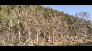 12.10.2025 Река Бабка. Пермский край. Кунгурский р-он.