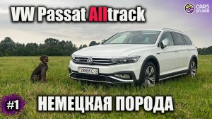 Как выглядит реальный пробег в сто тысяч VW Passat Alltrack B8 2.0tdi