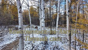 Комсомольск-на-Амуре. Лес. Первый снег.