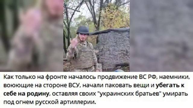 Допомогли тоби заморские паны синку..?