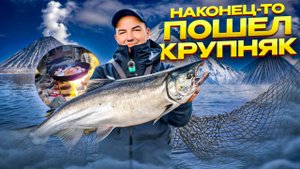Дождались, рыба пошла! Мощные финты, подарки - мечта рыбака, жарим рыбу на костре. Супер рыбалка!