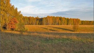 13 октября - Михаил Соломенный. Традиции и народные приметы