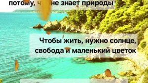 интересные факты