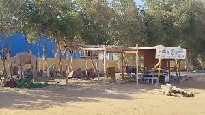 Территория Mirage Bay Resort & Aquapark