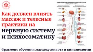 Как должен влиять массаж и телесные практики на нервную систему и психосоматику. Фрагмент обучения