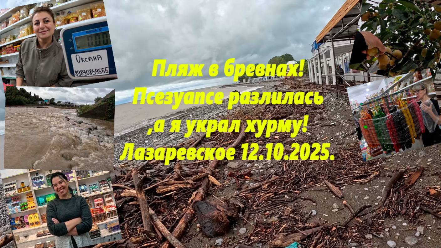 Пляж в бревнах,  Псезуапсе разлилась, а я украл хурму! Много вкусняшек!  Лазаревское 12.10.2025.
