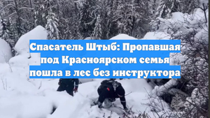 Спасатель Штыб: Пропавшая под Красноярском семья пошла в лес без инструктора