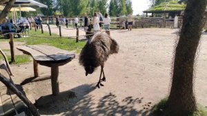 5 день в Белоруссии. Дорога от Минска до Гродно