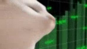 пу пу пу пу¡!!!!!!!!!!!!!!!!!!!!!!!!!