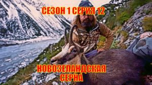 ОХОТА НА НОВОЗЕЛАНДСКУЮ СЕРНУ СЕЗОН 1 СЕРИЯ 12