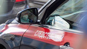 Водитель дважды переехал человека на Алтае, доклад по делу затребовал глава СК