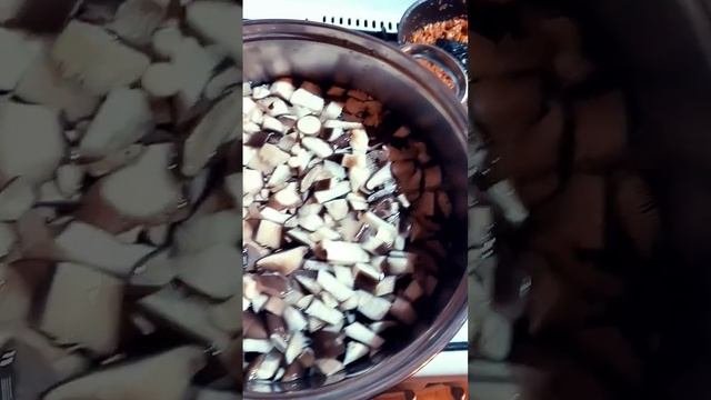 Шедевральный Грибной Супчик из Вёшенок у Дома, с Лечо! | Певец Кольчугино.