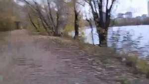 12-10-2025 Одинокая утка
