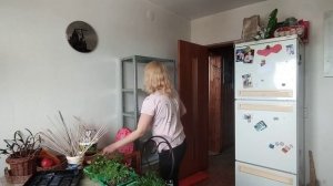 Влог 10/простая жизнь/моя рассада