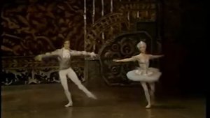 Па-де-де из оперы «Щелкунчик». И. Чайковского (Рудольф Нуреев и Мерль Парк)