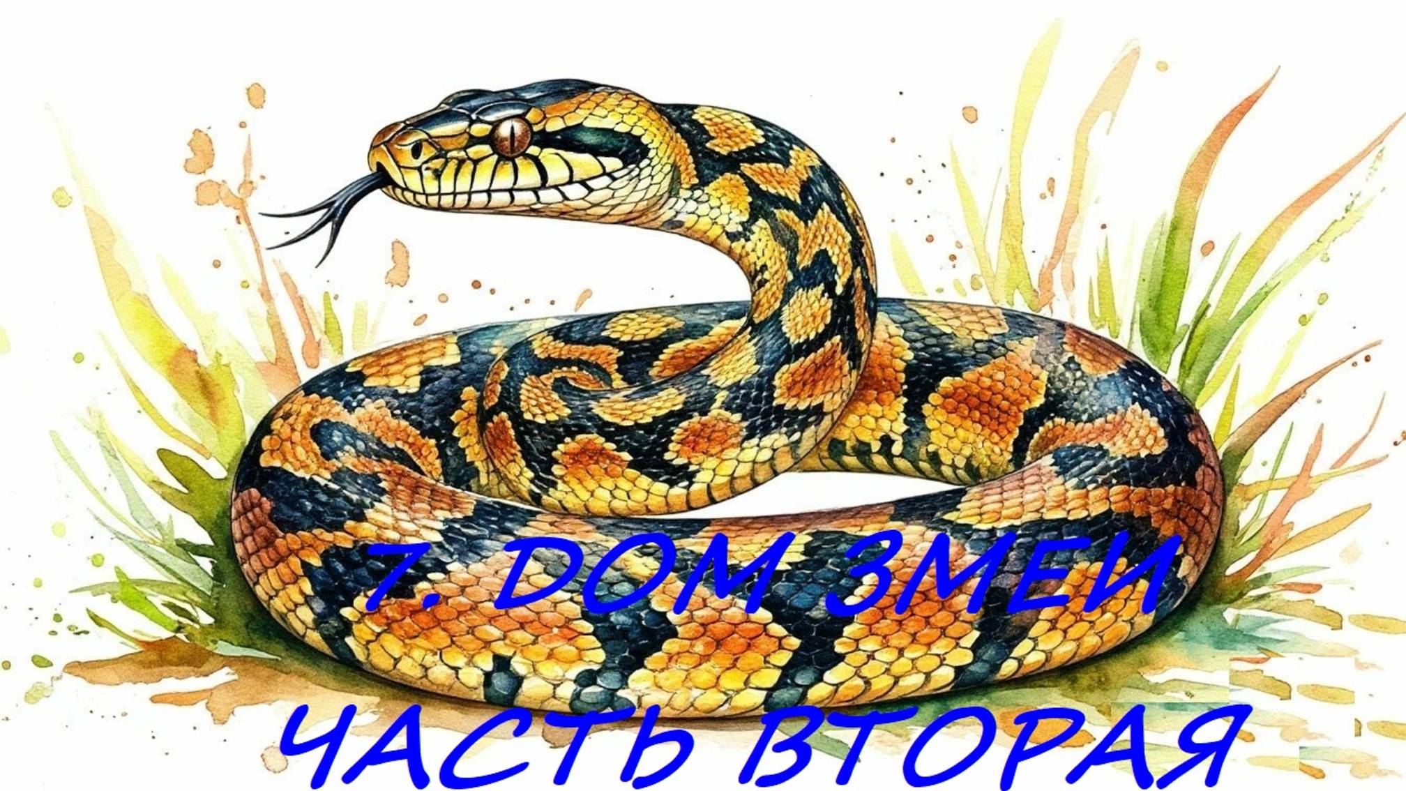 7.2.  ДОМ ЗМЕИ. ЧАСТЬ ВТОРАЯ. ЗНАЧЕНИЕ И СОЧЕТАНИЕ С КАРТОЙ В НЕГО ПОПАВШЕЙ.