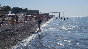 Медузы атакуют//Температура воды в море//Сочи 8 октября 2025