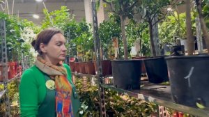 Обзор растений в СПб часть 2