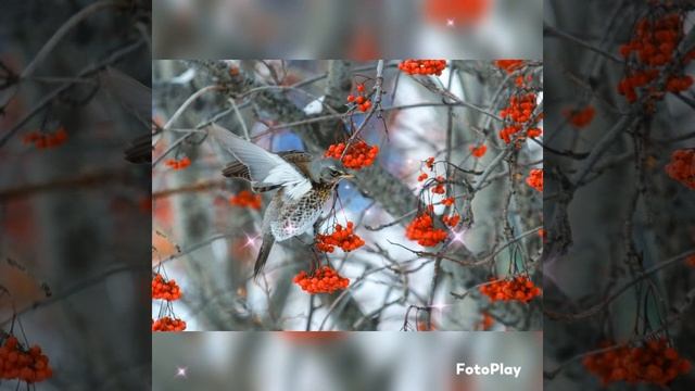 27 января 2025 г. смотреть онлайн