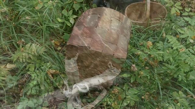 Мы ходили по опята