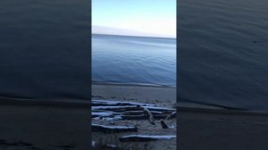 ☀️ 3 минуты Осеннего утра на Обском море | #ОбскоеМоре #Осень #Природа #Утро