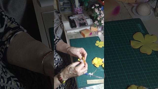 НОВЫЕ ЦВЕТЫ ИЗ ФОМИРАНА