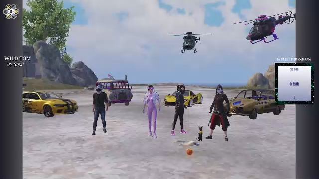 LIVE: WildTom_YouTube