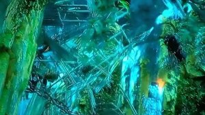 Длиношеей развалился!😮