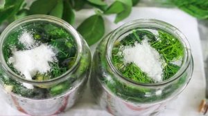 Огурцы в банке как бочковые на зиму