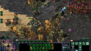 StarCraft 2 Еженедельный командный старик #60 p13 #starcraft2 #starcraft