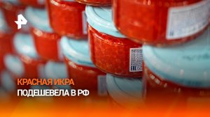 Красная икра подешевела в России впервые за год