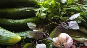 Огурцы-пятиминутка