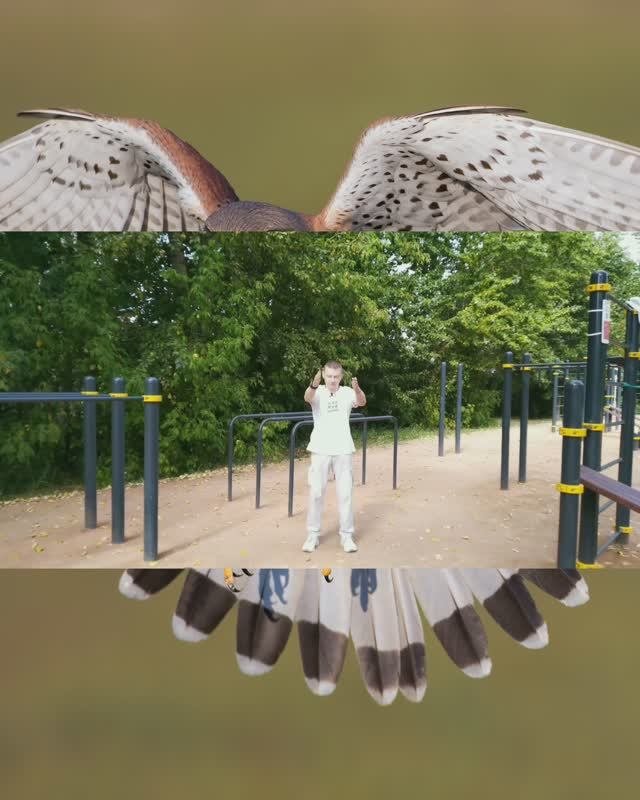 ДЫХАНИЕ СОКОЛА | 𝐓𝐇𝐄 𝐅𝐀𝐋𝐂𝐎𝐍'𝐒 𝐁𝐑𝐄𝐀𝐓𝐇